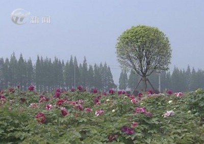 武進(jìn)新聞