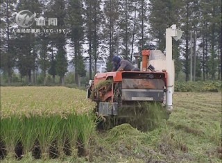 武進(jìn)新聞