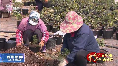 武進(jìn)新聞