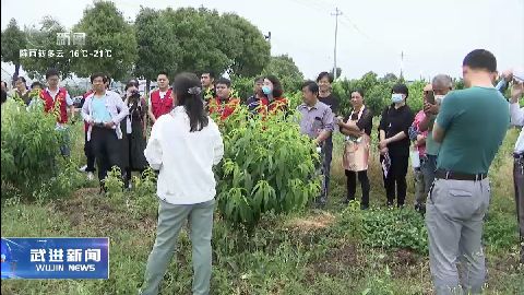 武進新聞