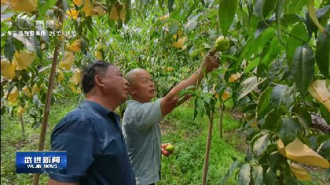 武進(jìn)新聞